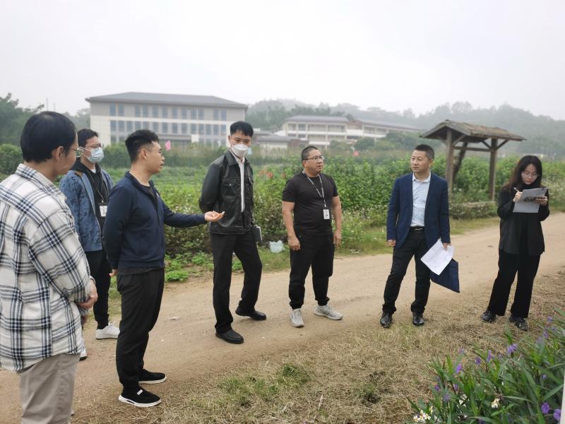 宝安区审计局开展国土审计深入田间地头问诊把脉基本农田—图片1.jpg