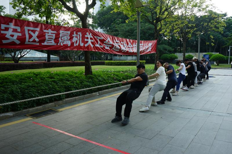 2-宝安审计干部参加运动会拔河比赛.jpg