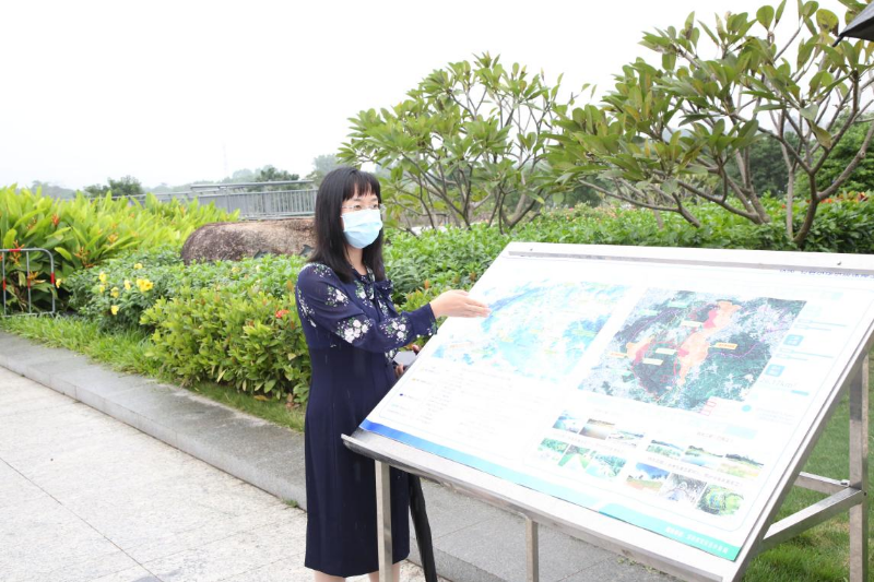 工作人员现场讲解铁岗-石岩水库水质保障工程建设情况1.png