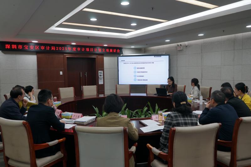 配图2:深圳宝安首次举办审计项目计划立项展讲会.jpg