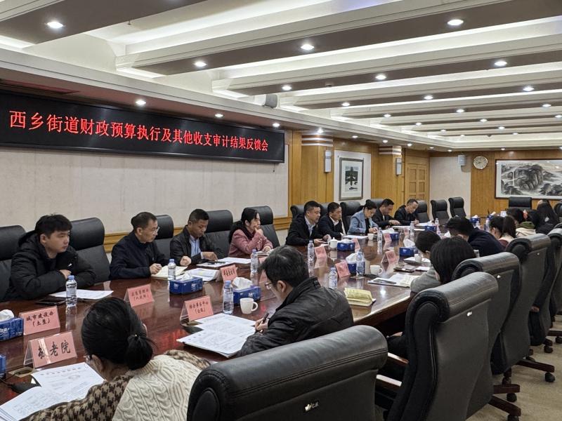 (信息配图)西乡街道召开审计结果反馈会集体签订审计责任书.jpg